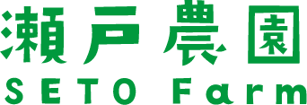 もとまち野菜、もとまちきゅうりの瀬戸農園